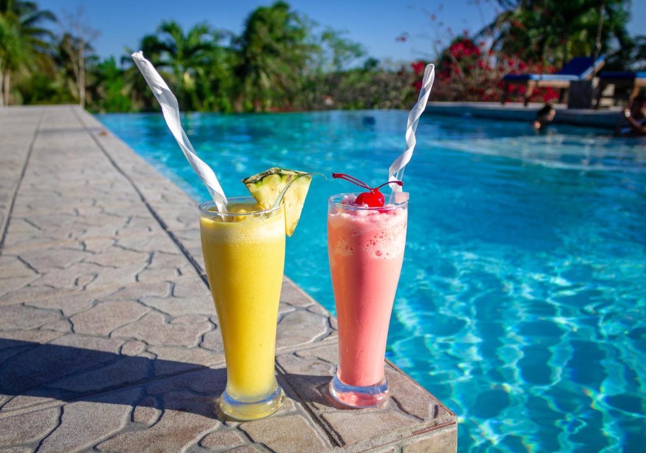Cassia Hill Resort San Ignacio Exteriör bild